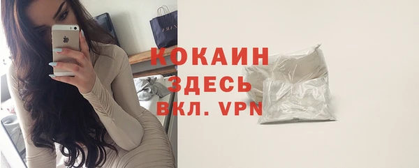 СК Каменногорск