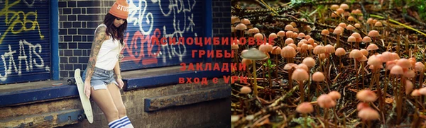 наркотики Инсар