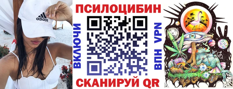 Псилоцибиновые грибы GOLDEN TEACHER MEGA ТОР Богданович дарнет шоп