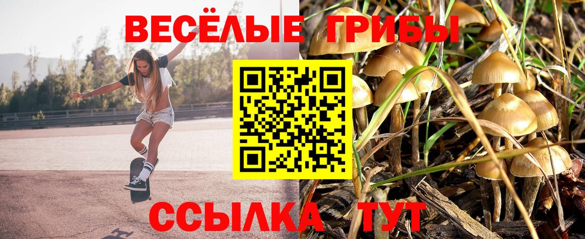 Богданович  Марихуана  ЭКСТАЗИ  ТГК  Вход с VPN  Мефедрон   КОКАИН  ГАШ  MDMA 