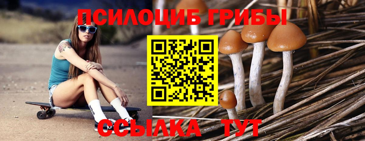 Галлюциногенные грибы Psilocybine cubensis  Галлюциногенные грибы GOLDEN TEACHER  Вход с VPN  Богданович 