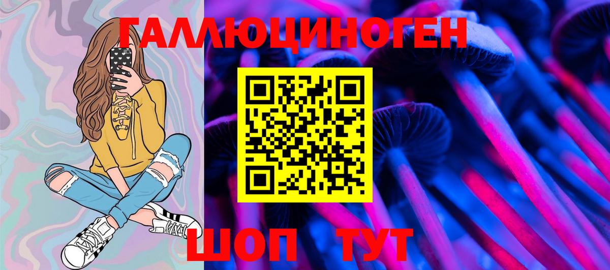 Псилоцибиновые грибы Psilocybine cubensis Богданович