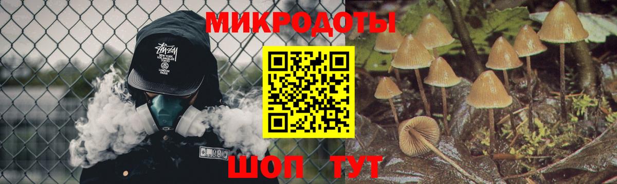 Галлюциногенные грибы GOLDEN TEACHER  Богданович 