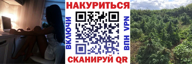Бошки Шишки OG Kush  купить  цена  Богданович 